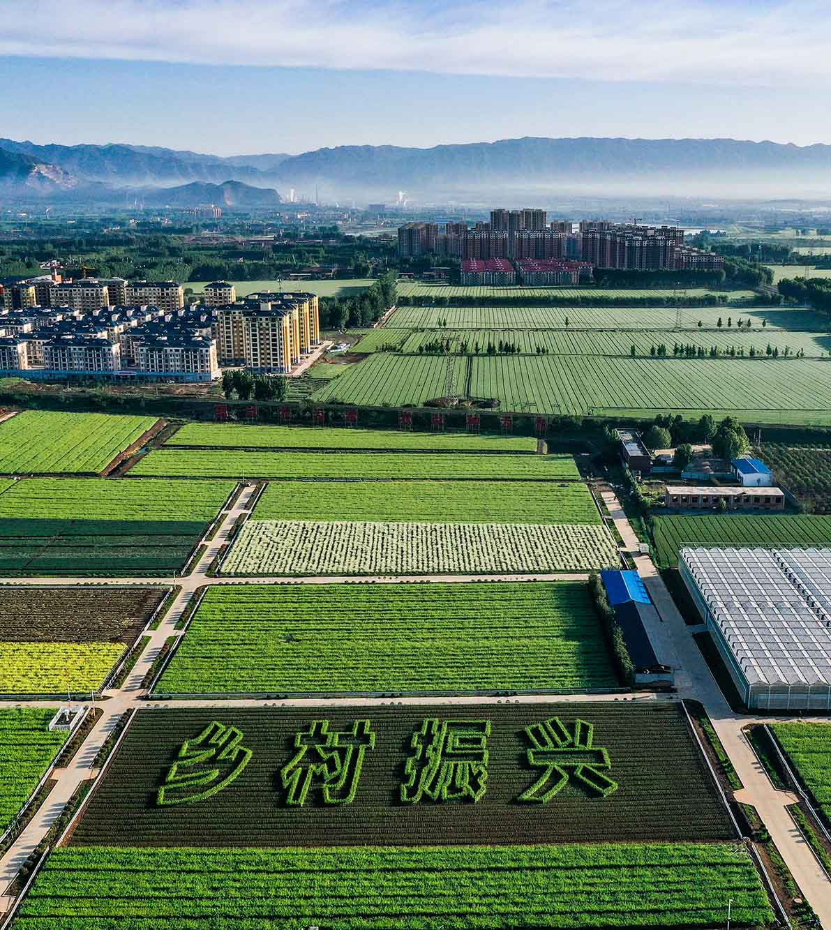 周顺	